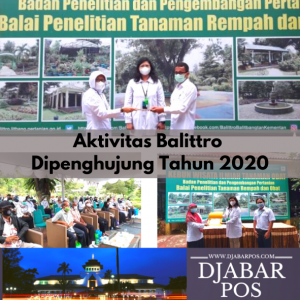 Aktivitas Balittro di Penghujung Tahun 2020