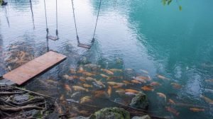 5 Wisata Alam Paling Top di Jawa Barat