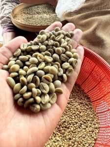 Perkoci – LSPR Communication Business Institute Lambungkan Kopi Ciwidey ke Kancah Globalo