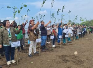 Pegadaian Kantor Wilayah X Jawa Barat Tanam 1.000 Mangrove